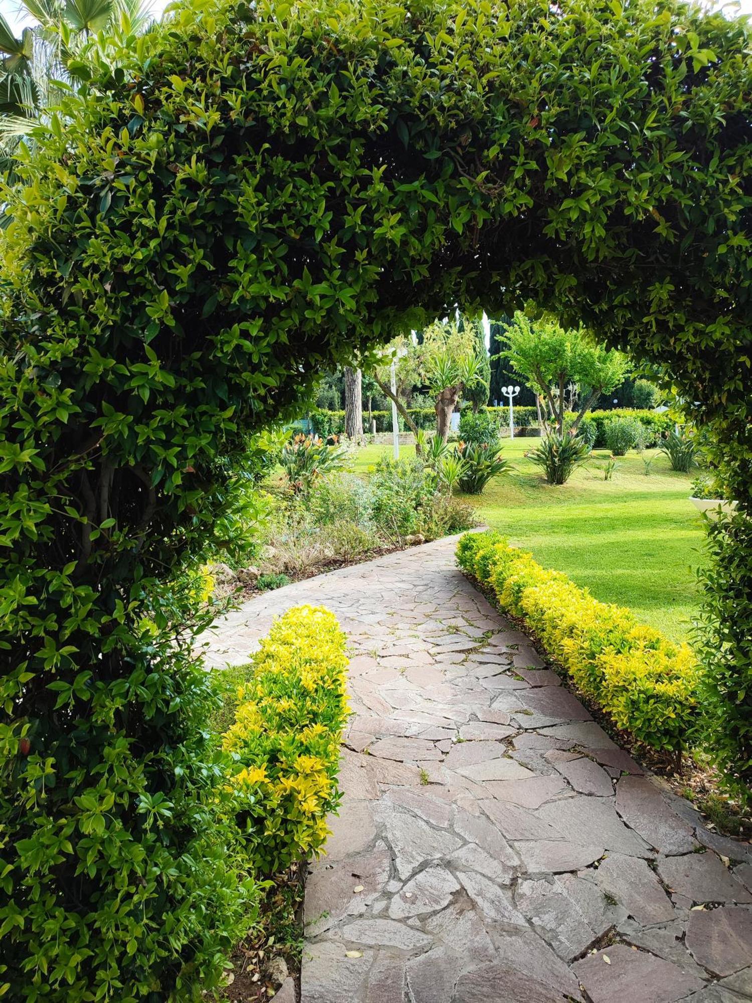 Green Nest روما المظهر الخارجي الصورة