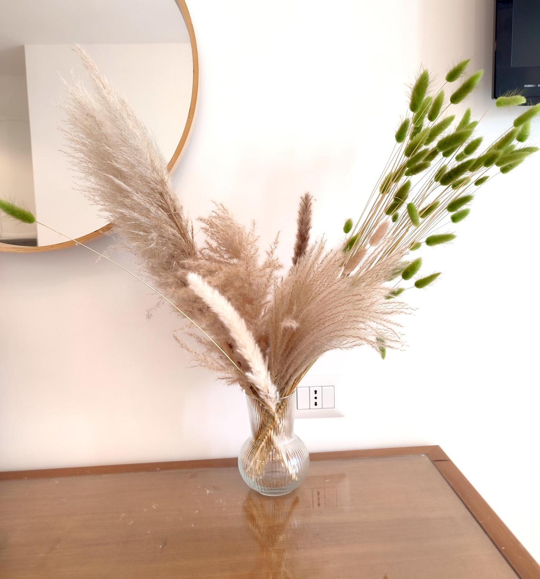 Green Nest روما المظهر الخارجي الصورة