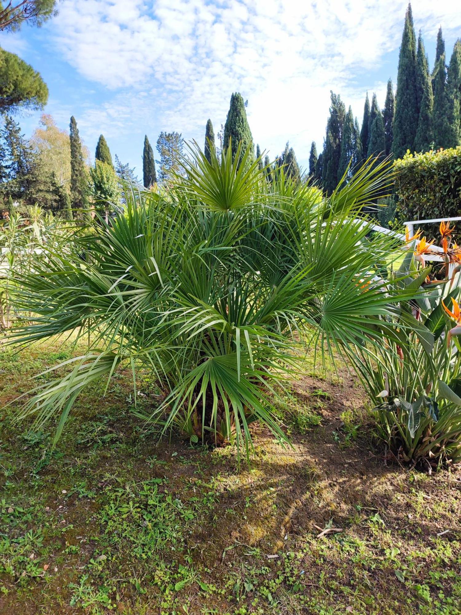 Green Nest روما المظهر الخارجي الصورة